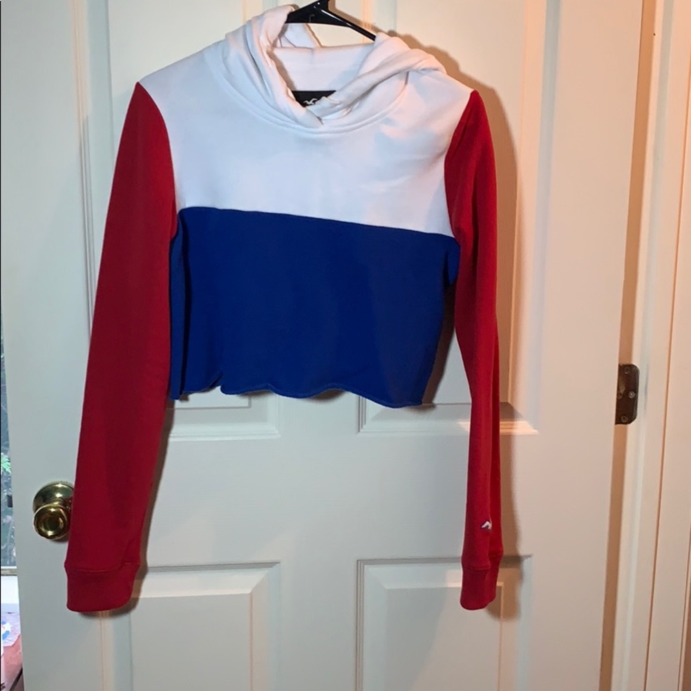 Size Small Cropped Hollister Hoodie